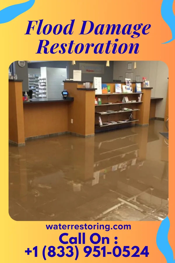 Flood Damage Restoration in Wyocena, WI