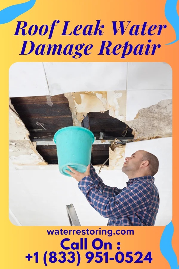Roof Leak Water Damage Repair in Wyocena, WI